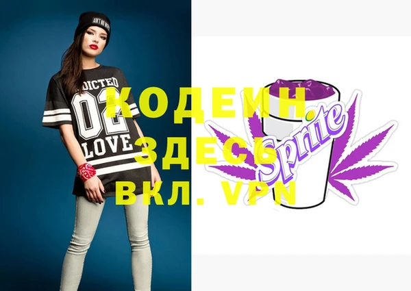 apvp Инта