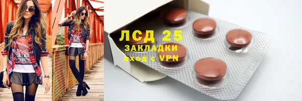 apvp Инта