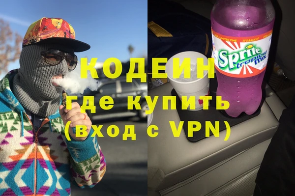 apvp Инта
