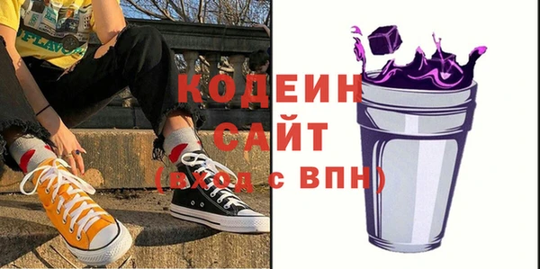 apvp Инта