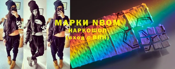 apvp Инта