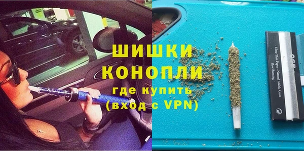 ПСИЛОЦИБИНОВЫЕ ГРИБЫ Инсар